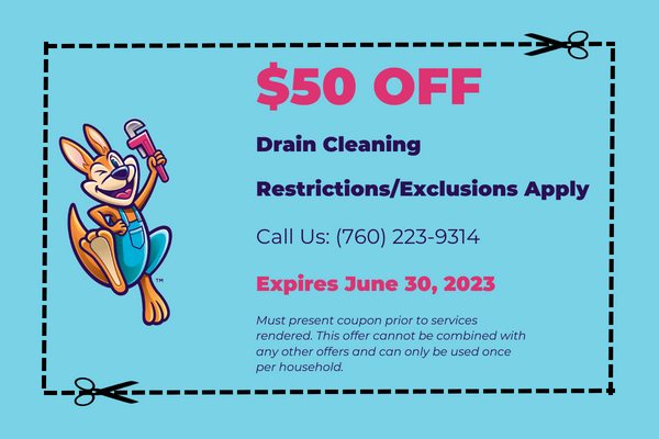 coupon drain cleaning